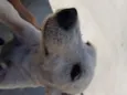 SPIKE