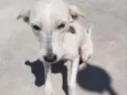 SPIKE