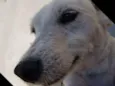 SPIKE