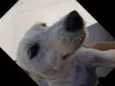 SPIKE