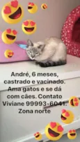 André