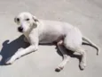 SPIKE