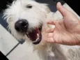 SPIKE