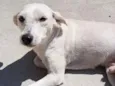 SPIKE
