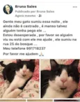 Tontom