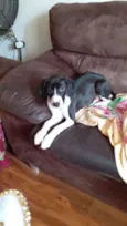 Kiara