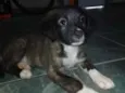 Nome indefinido 