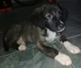 Nome indefinido