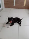 Rocky
