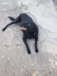Chiquinha