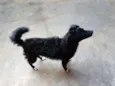 Tuti