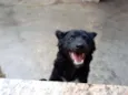 Tuti