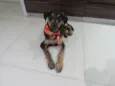 Tadeu