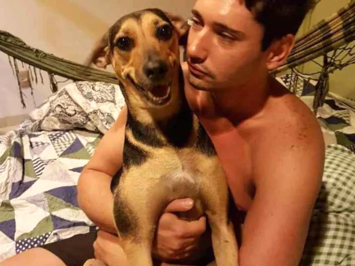 Cachorro ra a vira lata  idade 4 anos nome Lika e Preta 