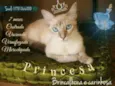Princesa