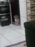 Bob