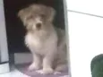 Bob