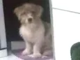 Bob
