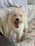 Tobby