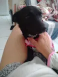 Sem nome