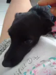 Sem nome