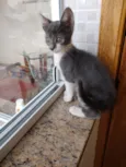 Leo Bebe lindo