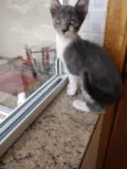 Leo Bebe lindo