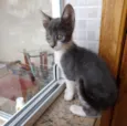 Leo Bebe lindo