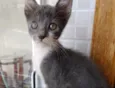 Leo Bebe lindo