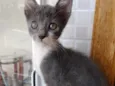 Leo Bebe lindo