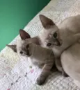 Babi e Sophie