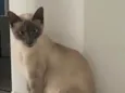 Samantha