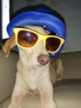 Xuxa