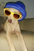 Xuxa