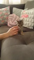 Mia