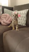 Mia