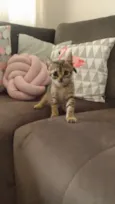 Mia