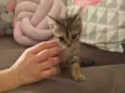 Mia
