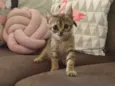 Mia