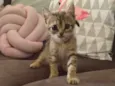 Mia
