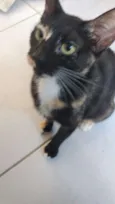 Vitoria