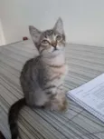 Bianco