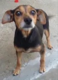 Nina