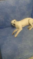 Paçoca