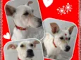 Cloe