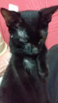 Pelézinho