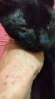 Pelézinho