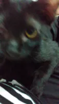 Pelézinho