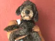 Felipe