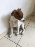 Nina